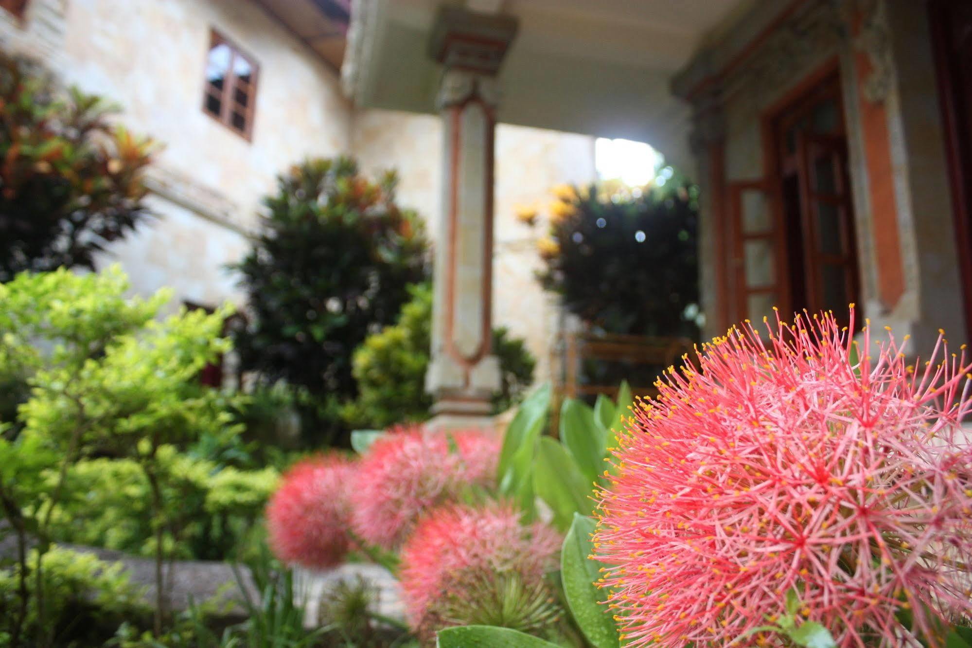 Rambutan Boutique Hotel Lovina Exterior foto